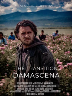 Дамасцена. Перерождение