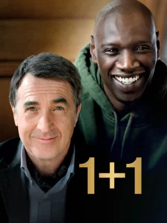1+1