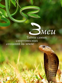 Змеи. Тайны самых смертоносных созданий на земле